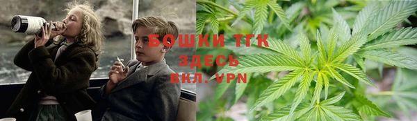 таблы Гусев