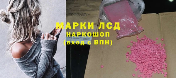 таблы Гусев