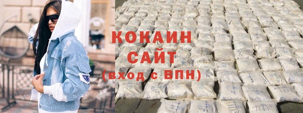 таблы Гусев