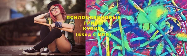 дмт Гусиноозёрск